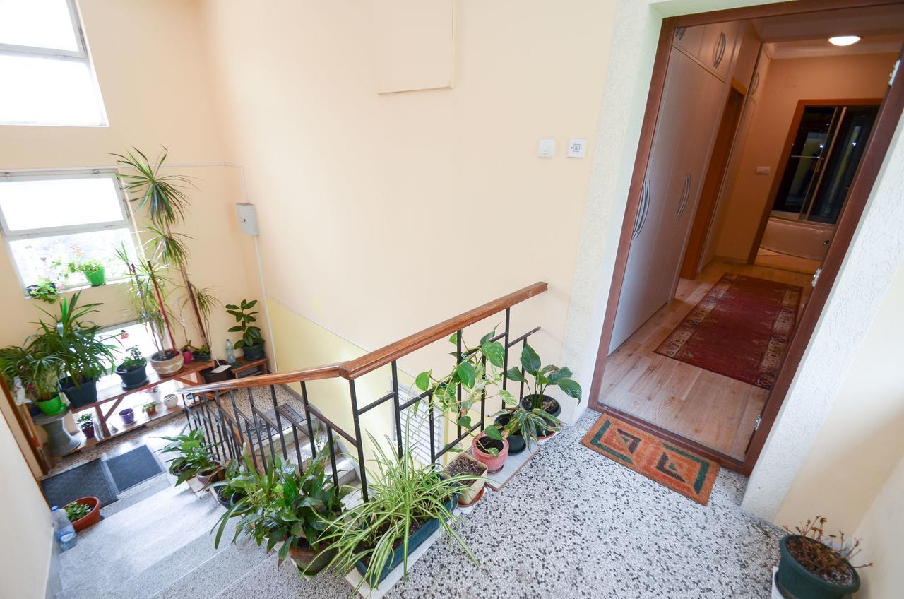 Central Apartment Kotor Extérieur photo